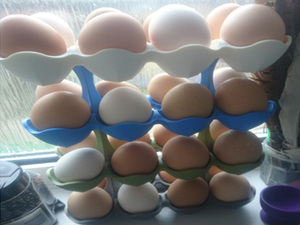 Stackable-Egg-Storage-Rack