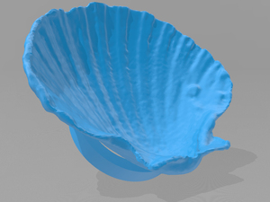 seashell-Soap-dish