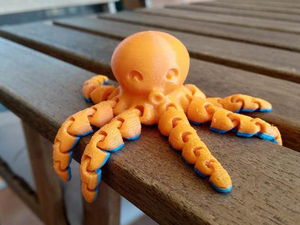 Cute-Mini-Octopus