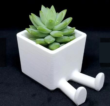 Leggy_Planter