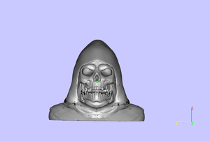 Bust of a skeleton