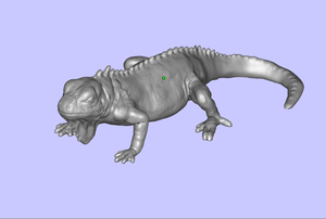 iguana (2)