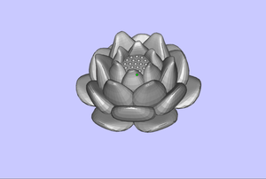 lotus (2)