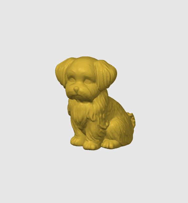 Little dog